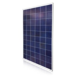Panel solarny EGE-270P-60